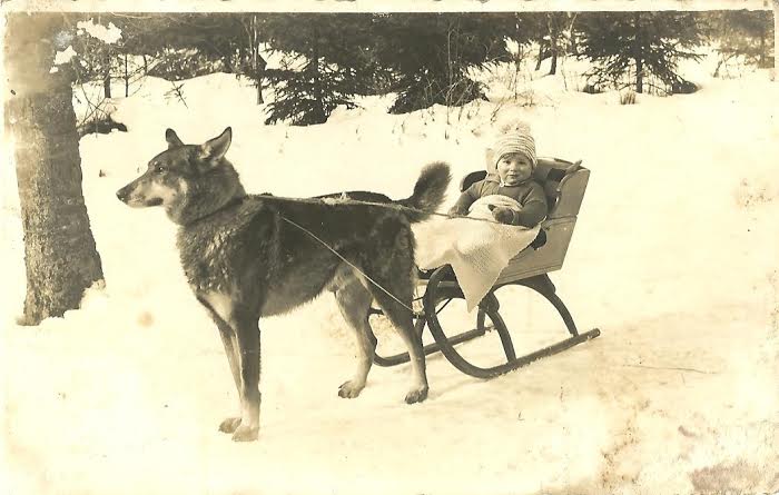 martin 1930-31 with dog sled